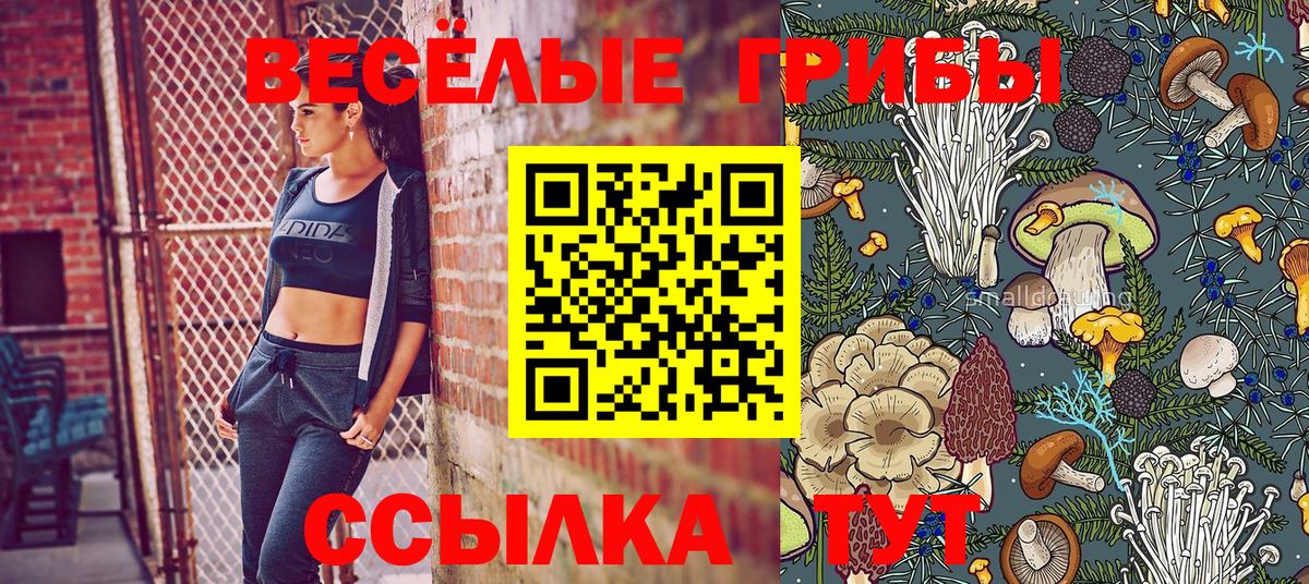 Псилоцибиновые грибы GOLDEN TEACHER  Вход с VPN  наркошоп  Звенигород 